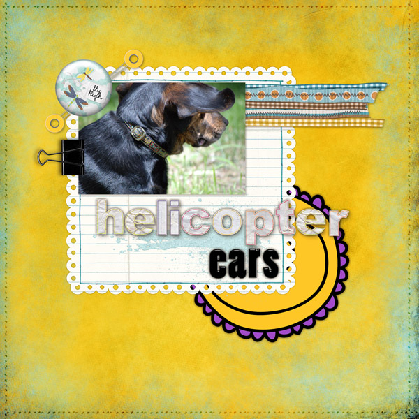 Helicopter Ears
