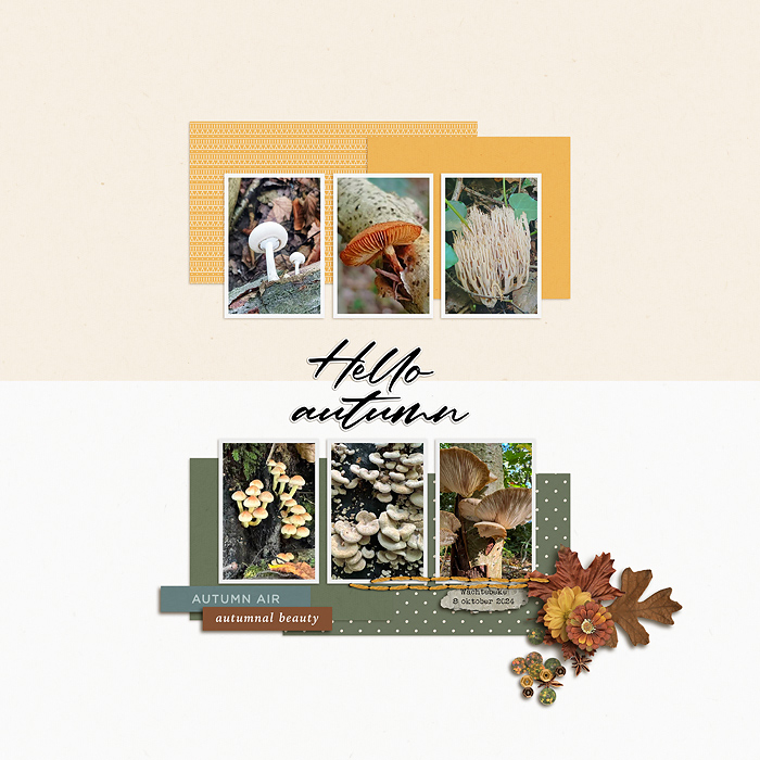 Hello Autumn
