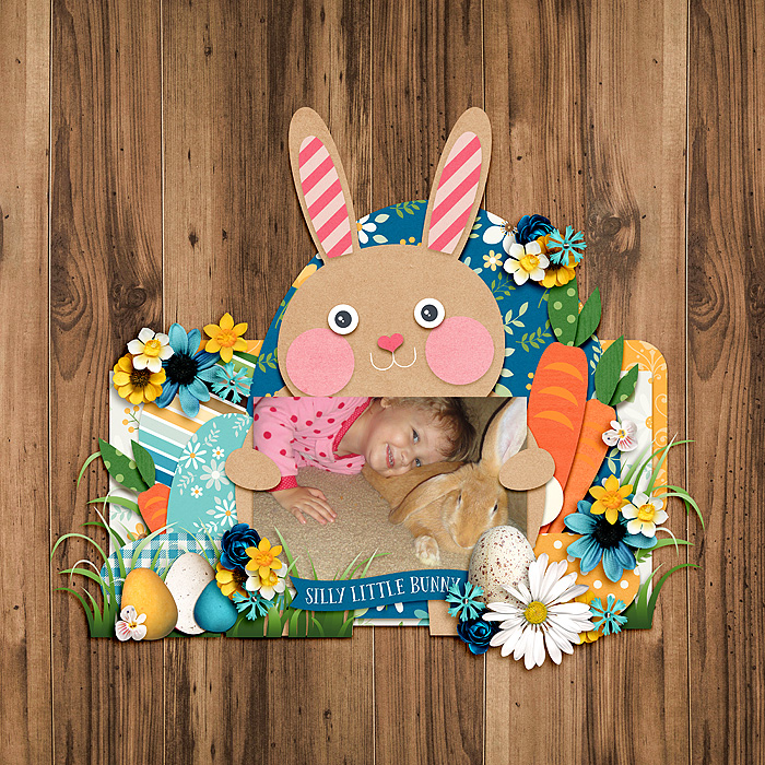 Hello Bunny