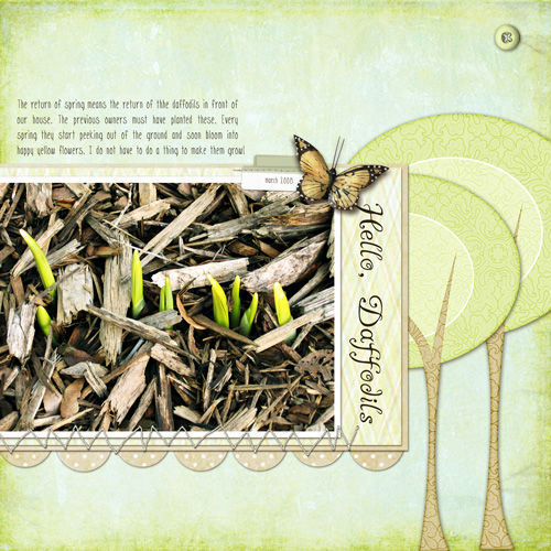 Hello, Daffodils