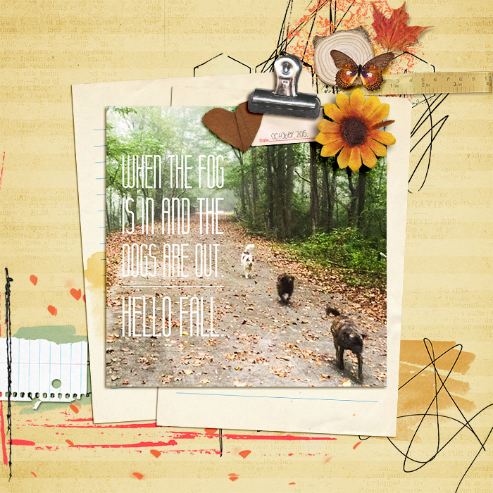Hello Fall