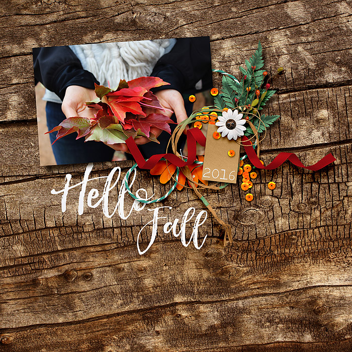 Hello Fall