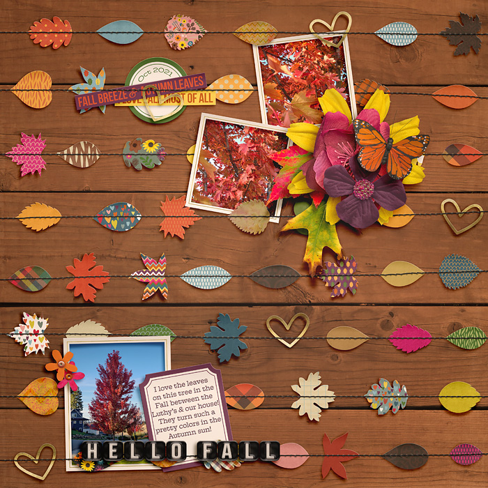Hello Fall