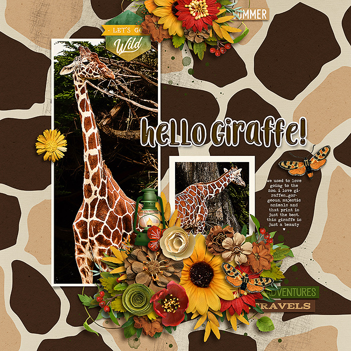 hello giraffe