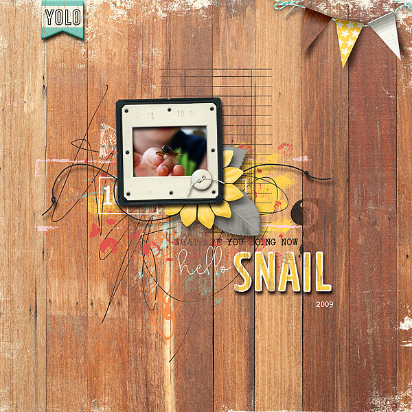 Hello Snail