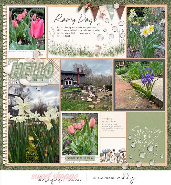 Hello Spring 2025