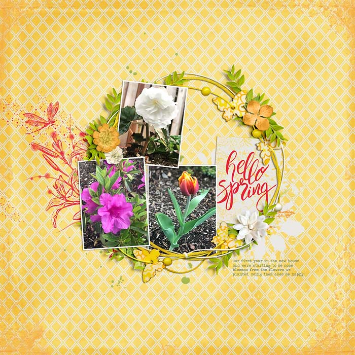 ~Hello Spring~