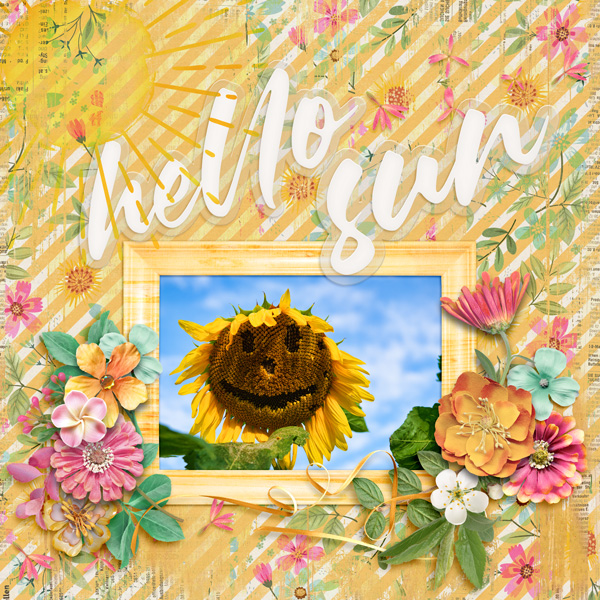 Hello....Sun-flower