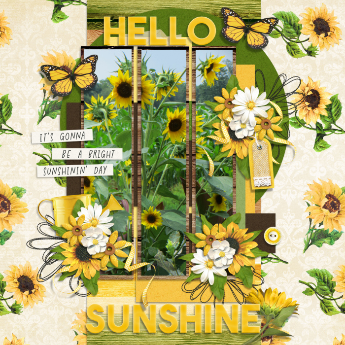 Hello Sunshine