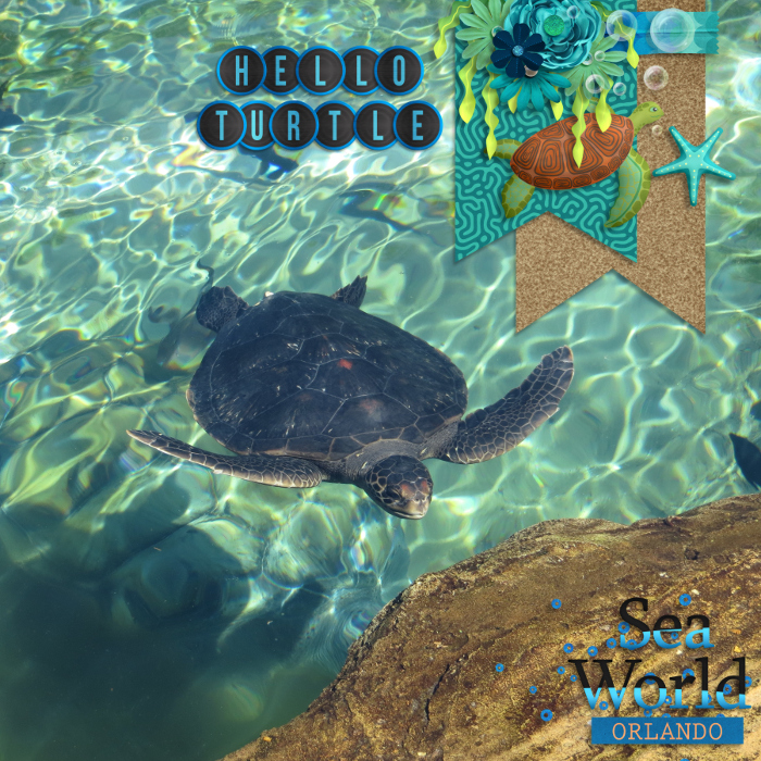Hello Turtle
