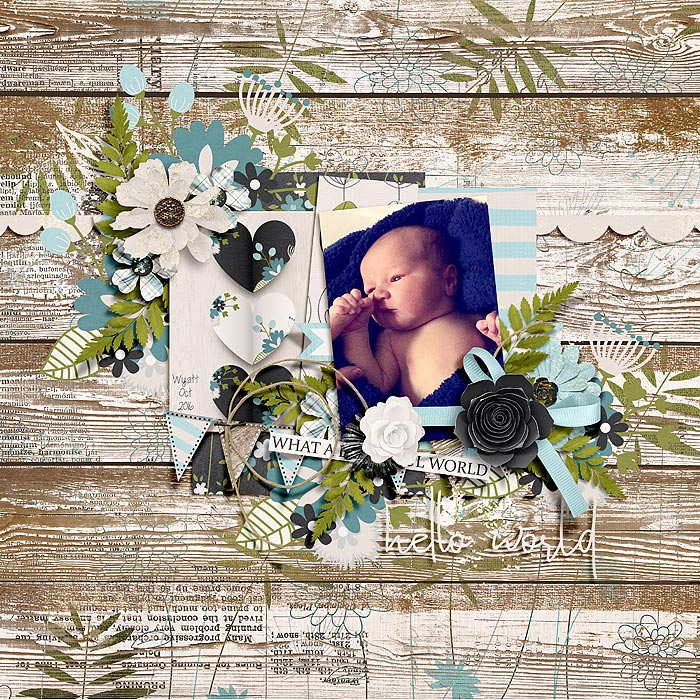 Hello World