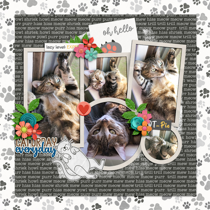Hello!