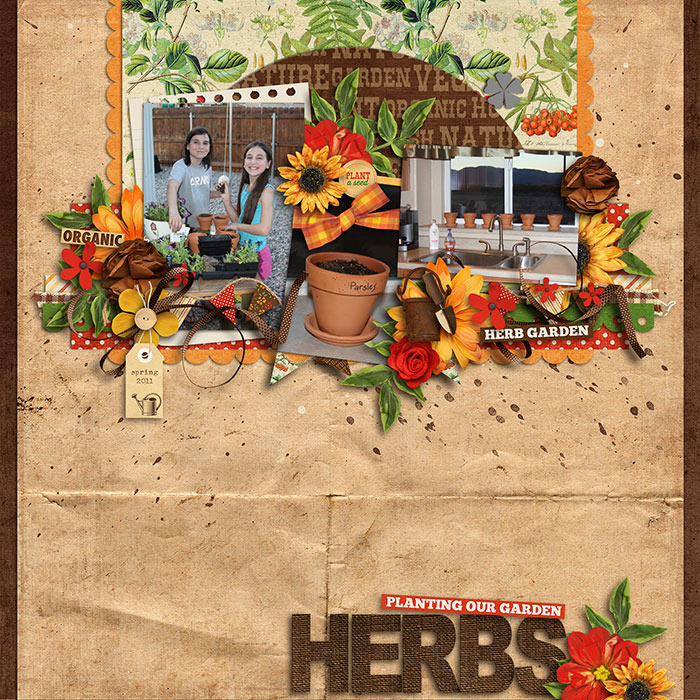 Herb Garden