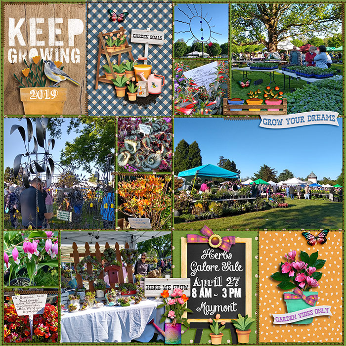 Herbs Galore Sale