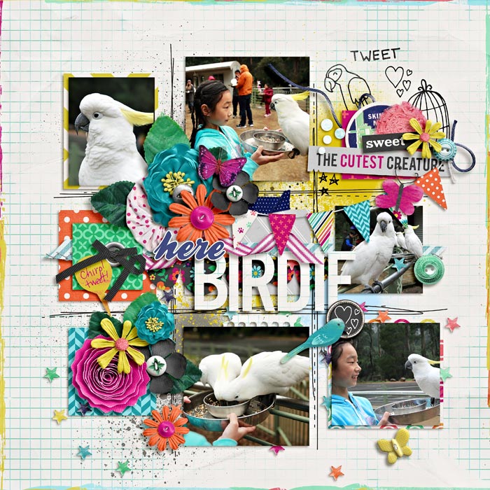 here birdie
