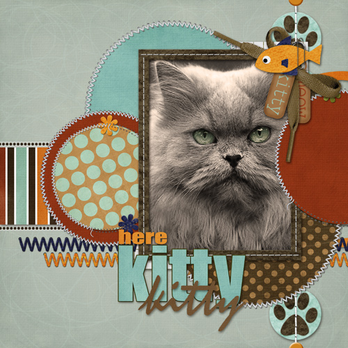 Here Kitty Kitty