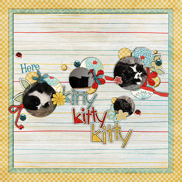 Here Kitty