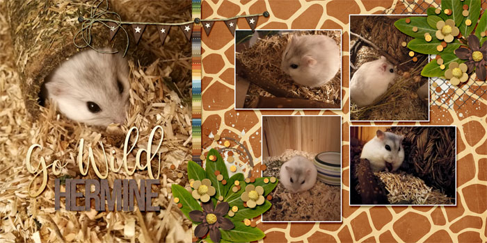 Hermine