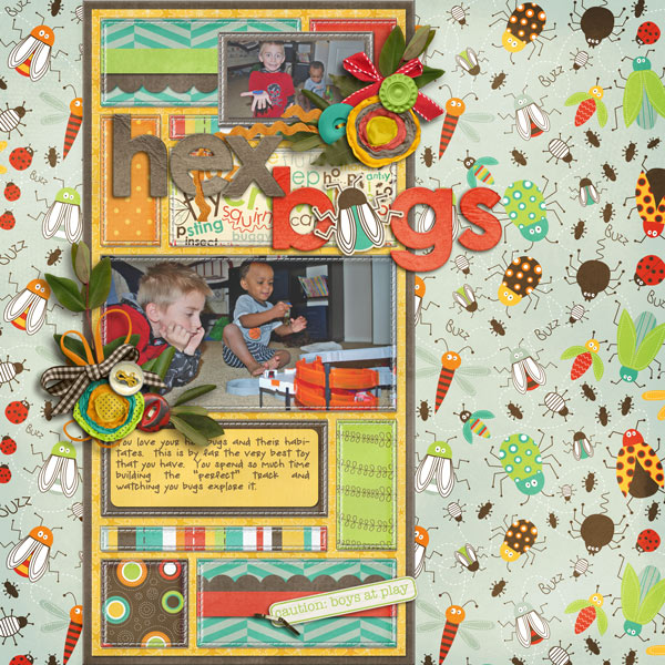 Hex Bugs