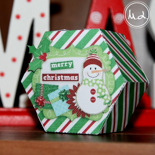 Hexagonal Box Template
