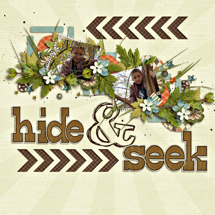 Hide and Seek