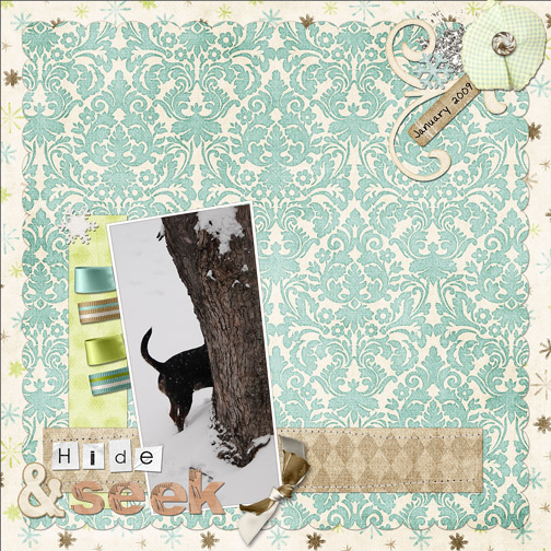 Hide N Seek