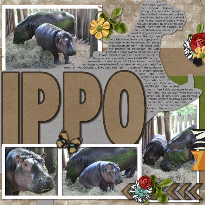 HIPPOS!!!