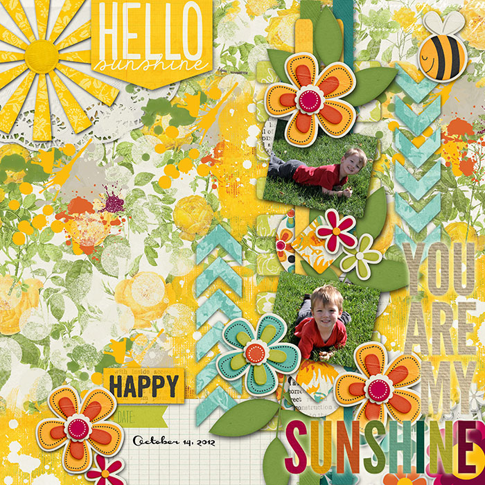 HN 20121 You Are My Happy Bytesize