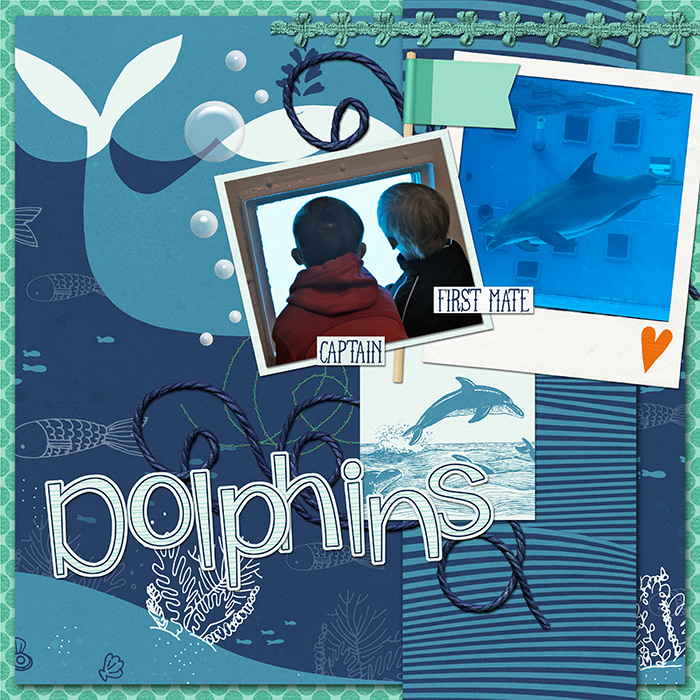 HN 201403 Dolphin View
