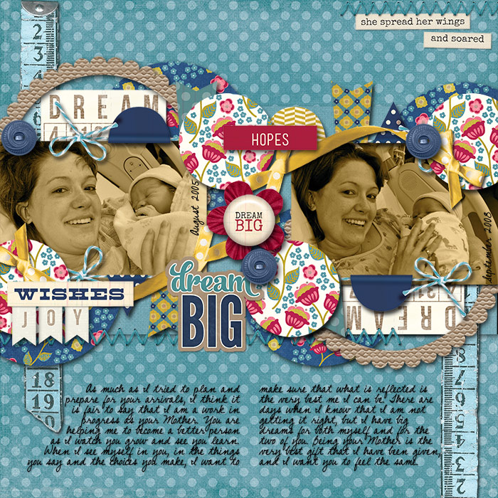 HN Becoming Challenge Layout 2012