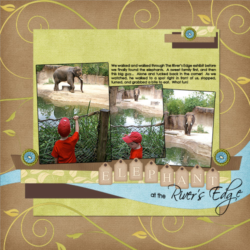 HN Elephant on the Edge 2010