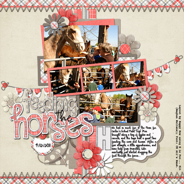 HN H is for Horses 2011