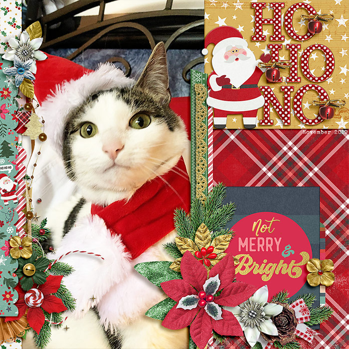 Ho Ho No