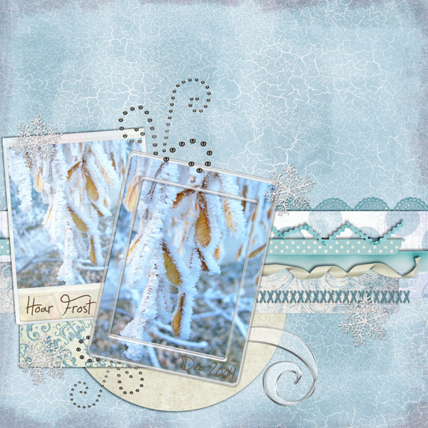 Hoar Frost