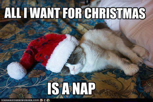Holiday Meme