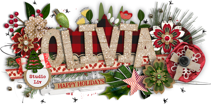 Holiday Siggie
