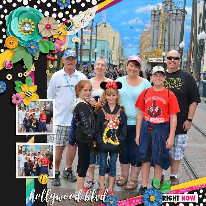 hollywood land
