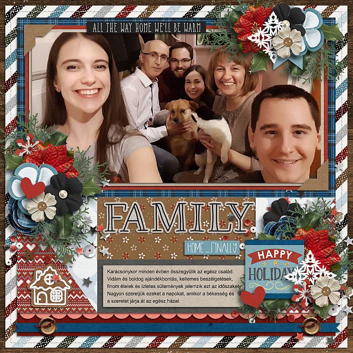 Home for Christmas