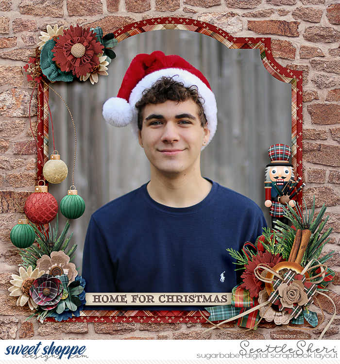 Home for Christmas