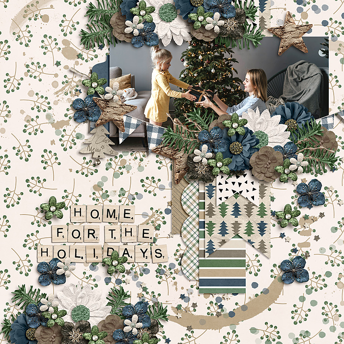 Home For The Holidays