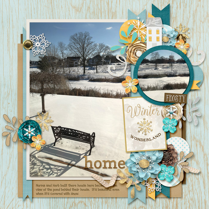 Home in the Snow