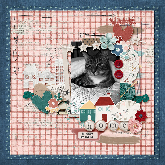 Home Is Where My Cat Is
