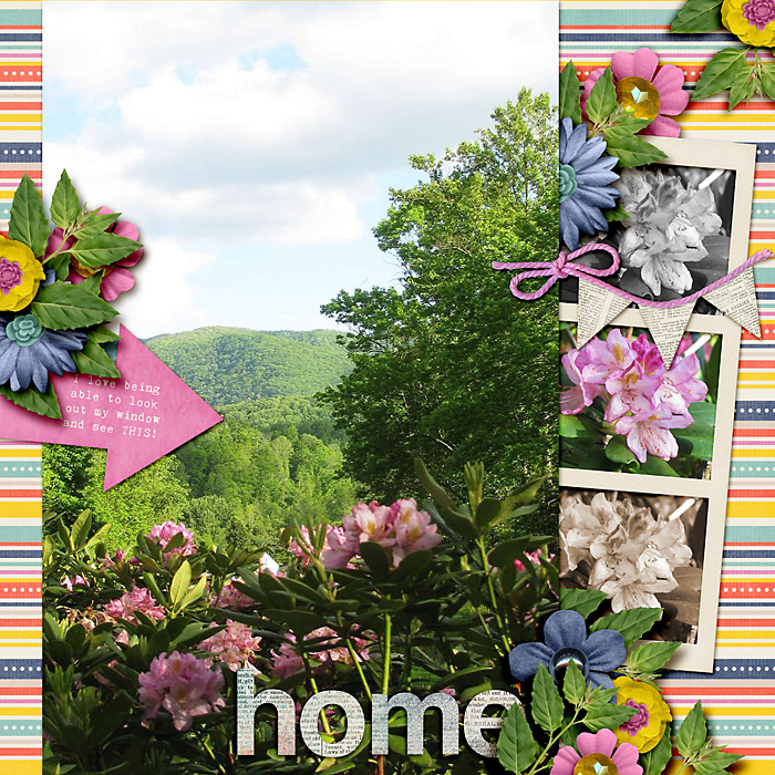 Home