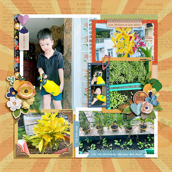Homegrown