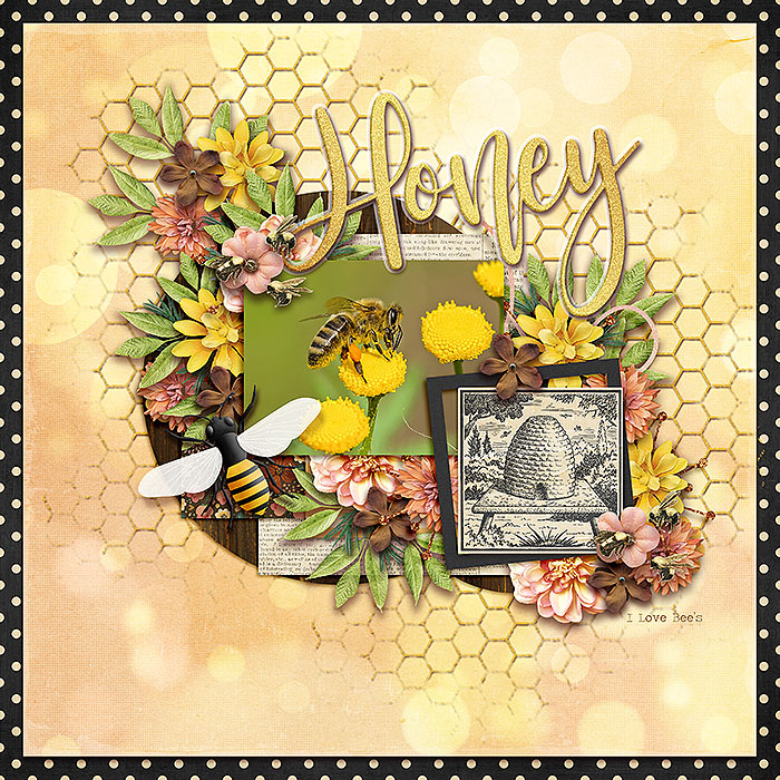 Honey Bee