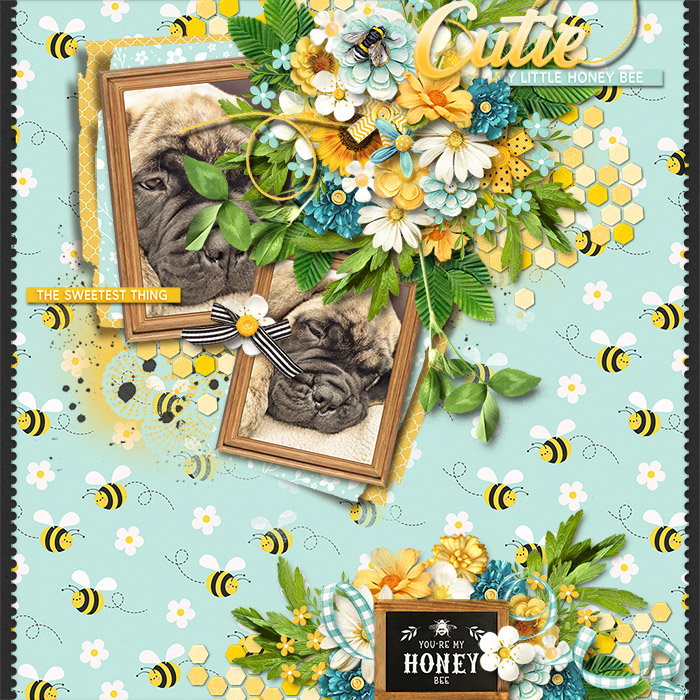 Honey Bee
