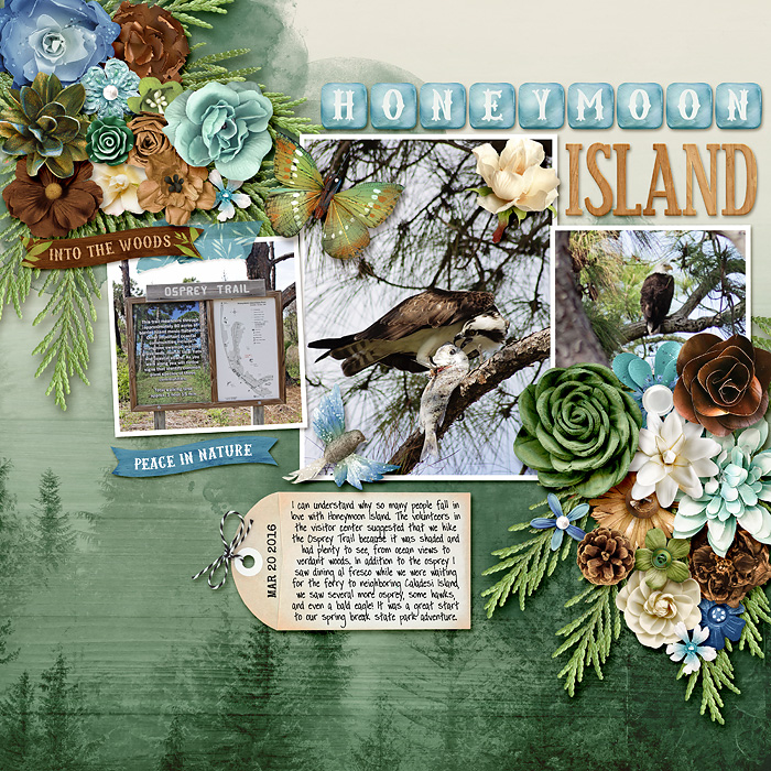 Honeymoon Island