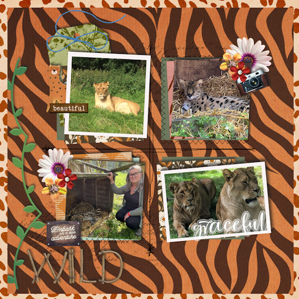 Hoo Zoo Wild Adventure