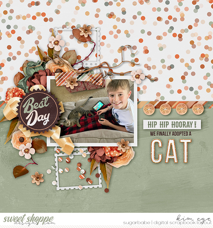 Hooray for a Cat