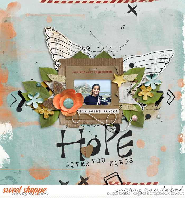 Hope Gives You Wings